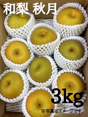 和梨　あきづき　3kg