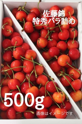 佐藤錦　特秀バラ詰め　500ｇ　Ｌ～２Ｌ　(代替品　やまがた紅王)