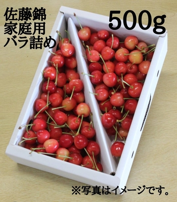 佐藤錦　家庭用バラ詰め　500ｇ　M~L　(代替品　やまがた紅王)