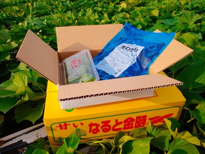 ギフト(秀品なると金時3kg、鳴門わかめ500ｇ、すだち１パック）