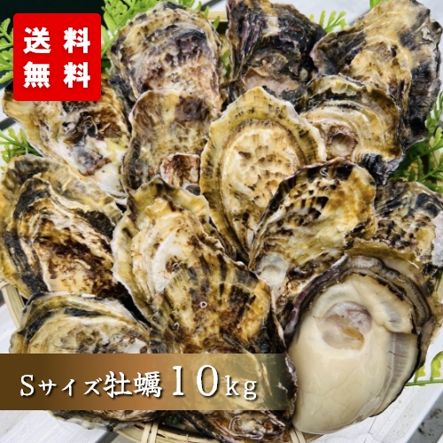 Sサイズ牡蠣 10kg | 岡山日生港川輝水産