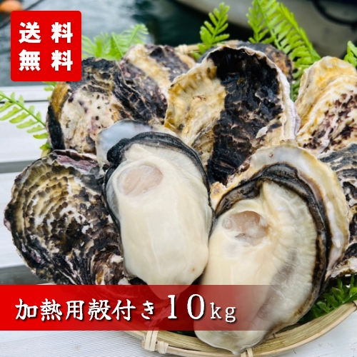 殻付き牡蠣10kg 殻付き牡蠣10kg(加熱調理用) | 大多府久本水産