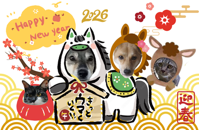 2026 チャンネルオリジナル年賀状５枚セット