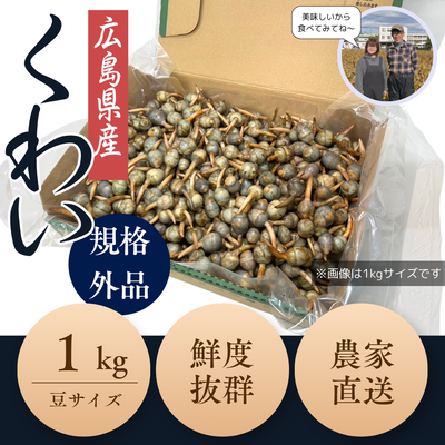 【予約販売10％OFF】広島県産くわい 豆サイズ（１㎏）11月15日～11月30日まで