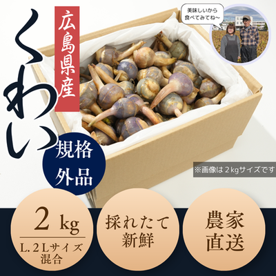 【予約販売10％OFF】広島県産くわい L・2L混合サイズ（２㎏）11月15日～11月30日まで