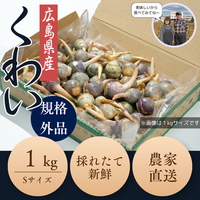 【予約販売10％OFF】広島県産くわい Sサイズ（１㎏）11月15日～11月30日まで
