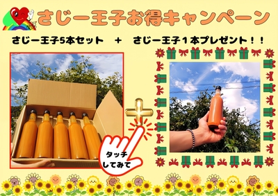 【超お得キャンペーン】さじー王子　5本セット+1本プレゼント
