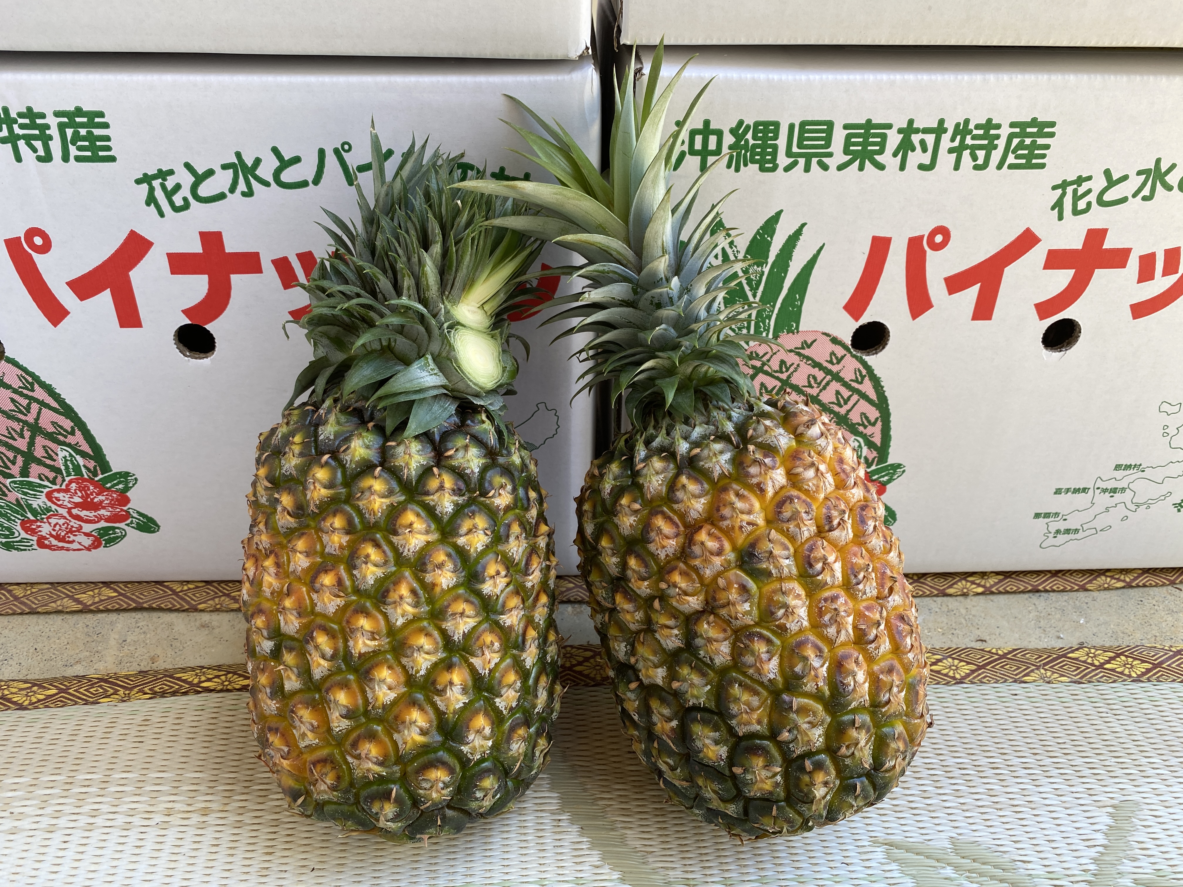 山原パイン　ふくしま農園