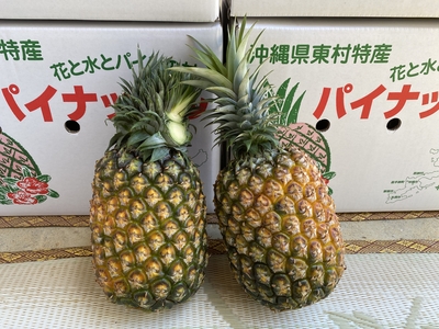 ふくしま農園のゴールドバレル　2玉　(3.5kg~)