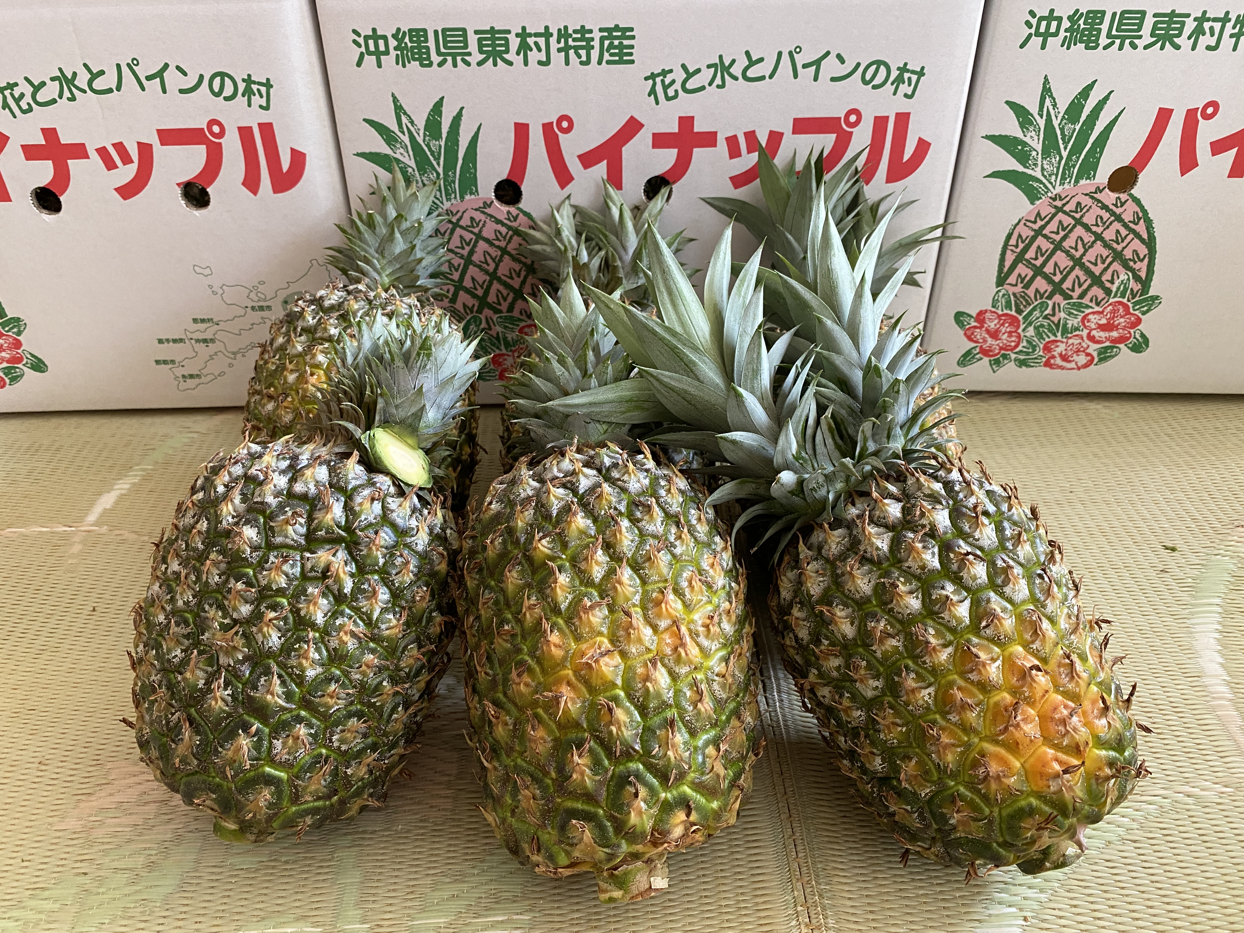 山原パイン　ふくしま農園