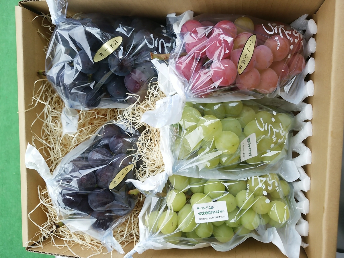 ぶどう詰め合わせ3kg | 福田フルーツパーク