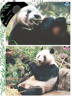 1月23日付スポーツ報知大阪本社版（18ページ)