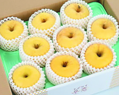 No.4　岩手冬恋研究会 そばかす冬恋 2.5kg（8玉～10玉）