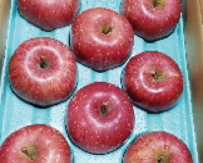 No.7　JA江刺  江刺サンふじ  3kg（8個～11個）