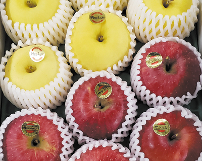 No.10　JA江刺・岩手冬恋研究会  自家用サンふじ＆純情はるか 5kg（各9個～10個）