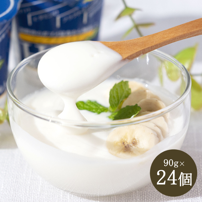 北海道割・定期便 3ヶ月】HFプラスヨーグルト（90g×24個）【冷蔵・送料