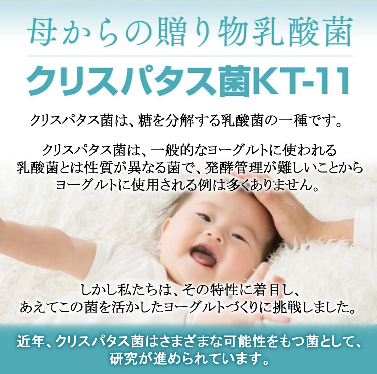 HFプラスヨーグルト24個セット（90g×24個）【冷蔵】 | 北のグルメ