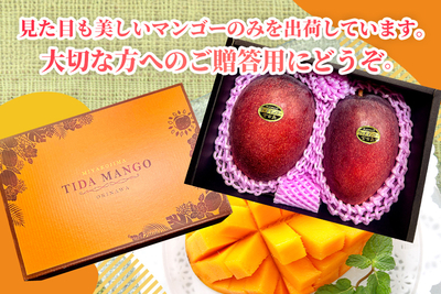 【特選】贈答用マンゴー９００ｇ (２玉)