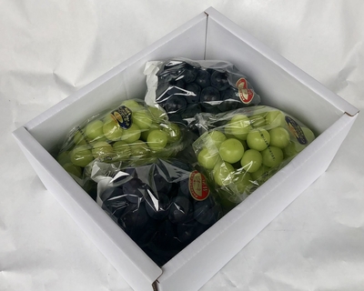 【詰め合わせ】ピオーネ2房とシャインマスカット（晴王）2房（それぞれ５００g以上）2キロ（4房）詰め【ご贈答用】化粧箱入り　