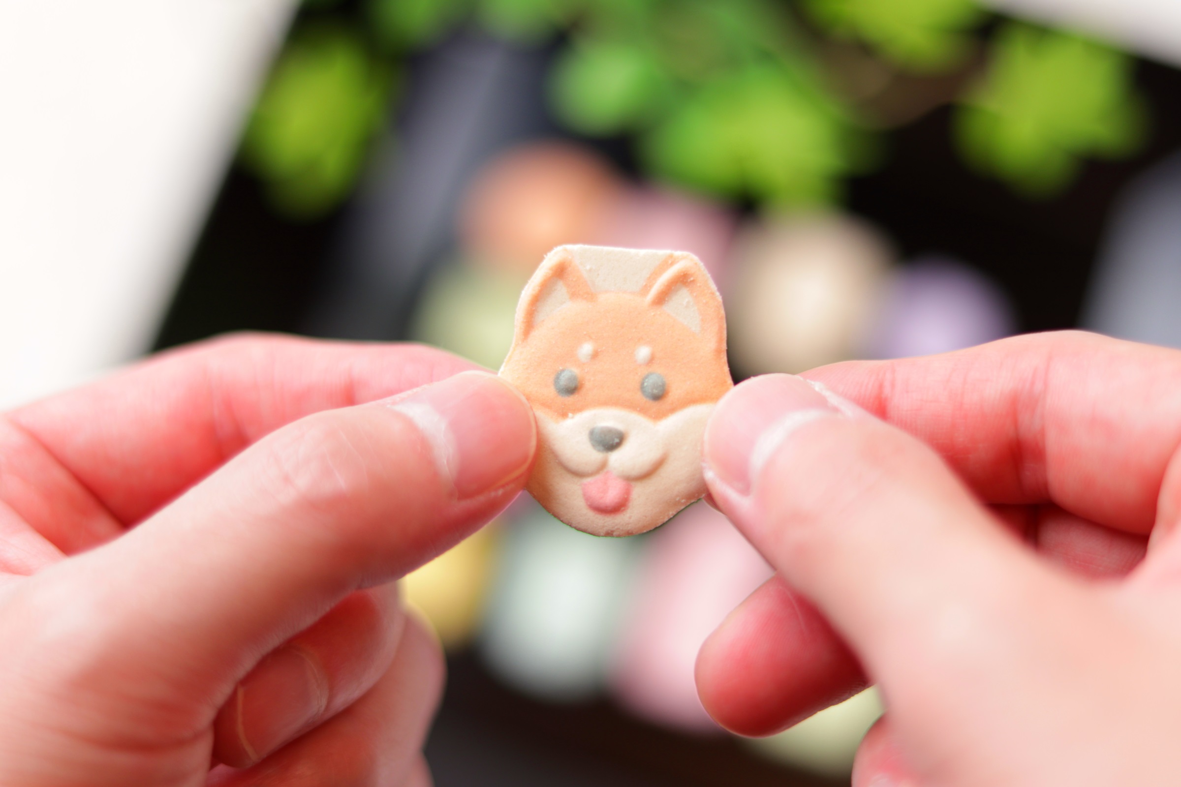 和三盆製「いぬづくし」 | 御菓子司 紅谷三宅