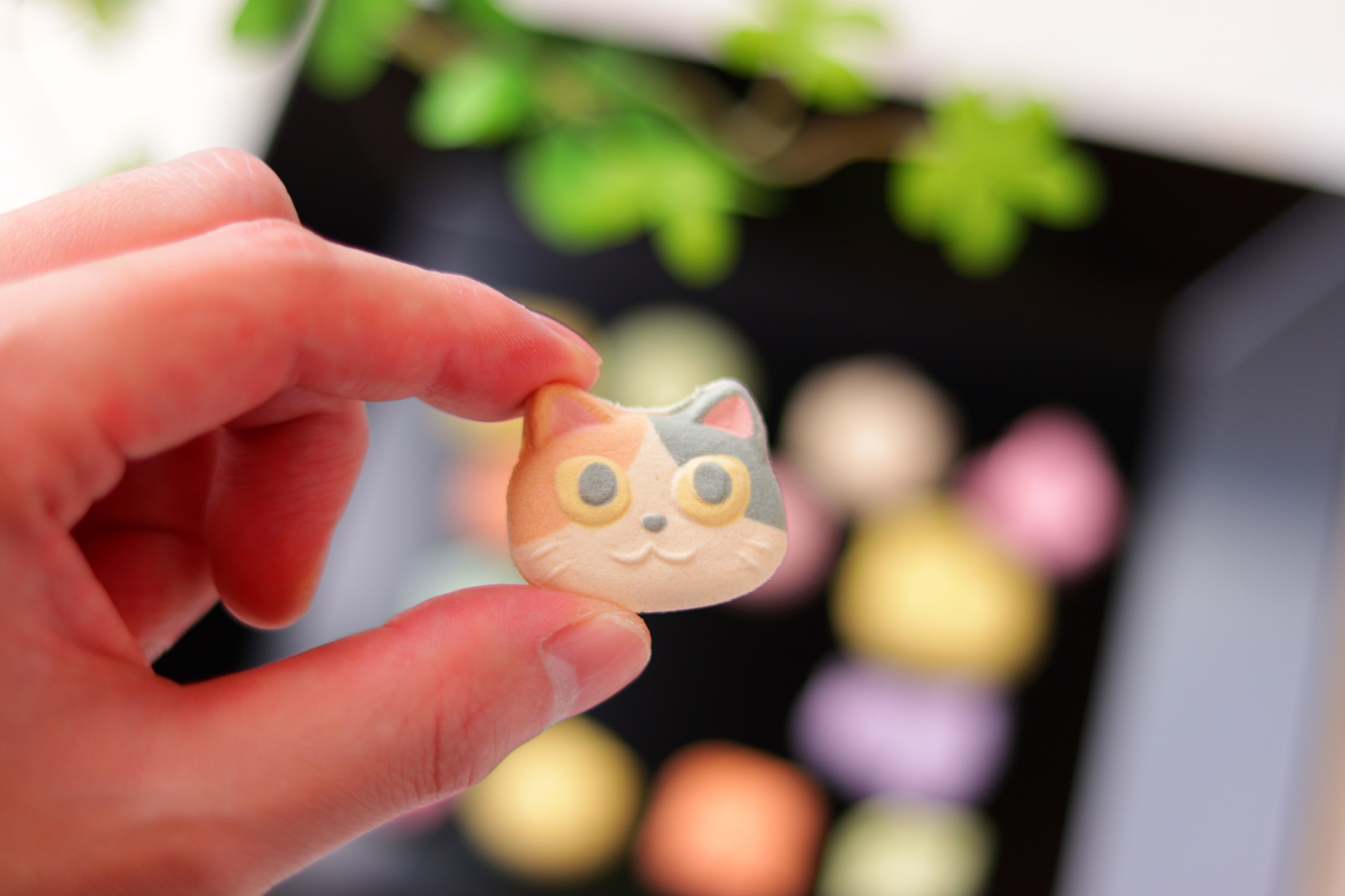 和三盆製「ねこづくし」 | 御菓子司 紅谷三宅