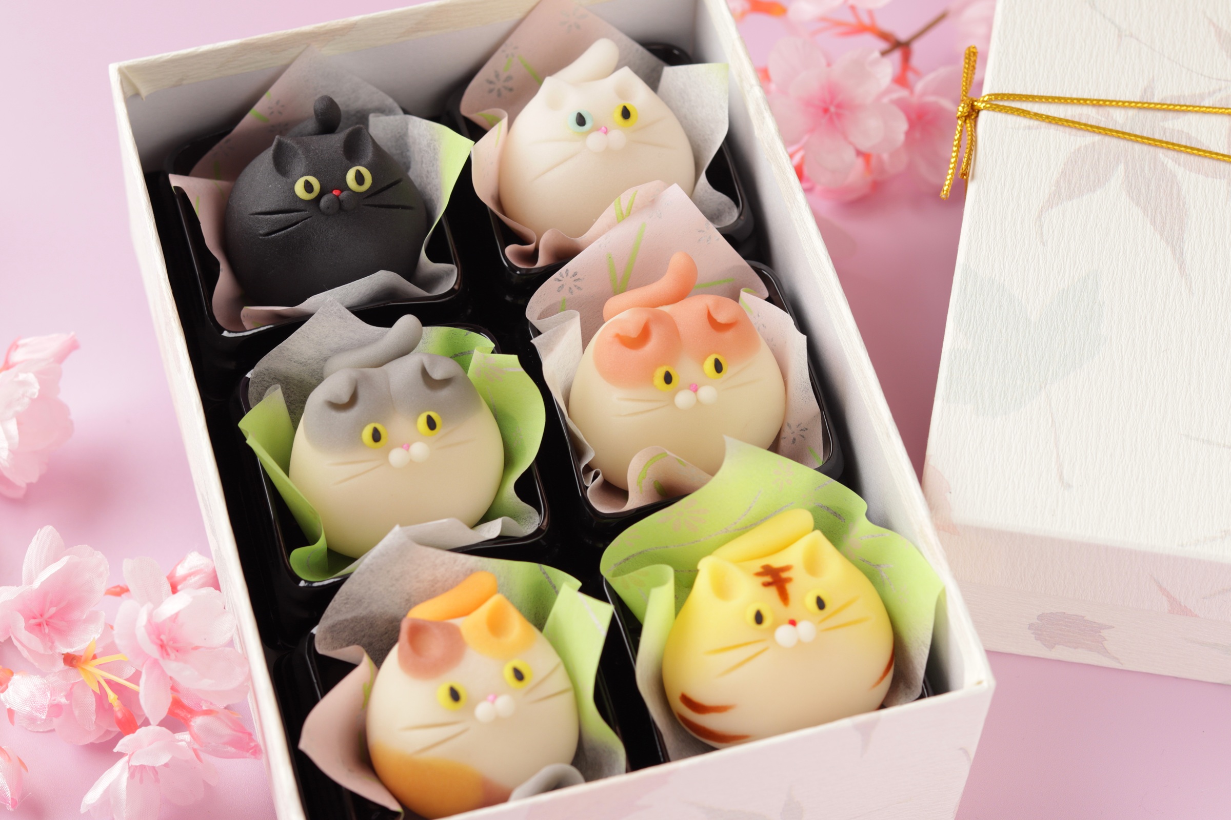癒しの練り切り『 ねこたま 』 6個入 | 御菓子司 紅谷三宅