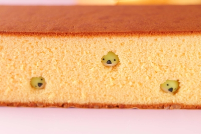 季節の訳ありカステラ「春告鳥」