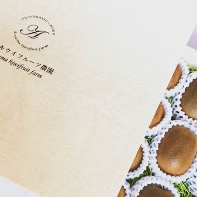 【送料無料】【常温便】贈答用キウイフルーツ　中サイズ　14玉【送料無料】