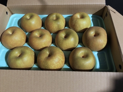 幸水3kg  6~7玉