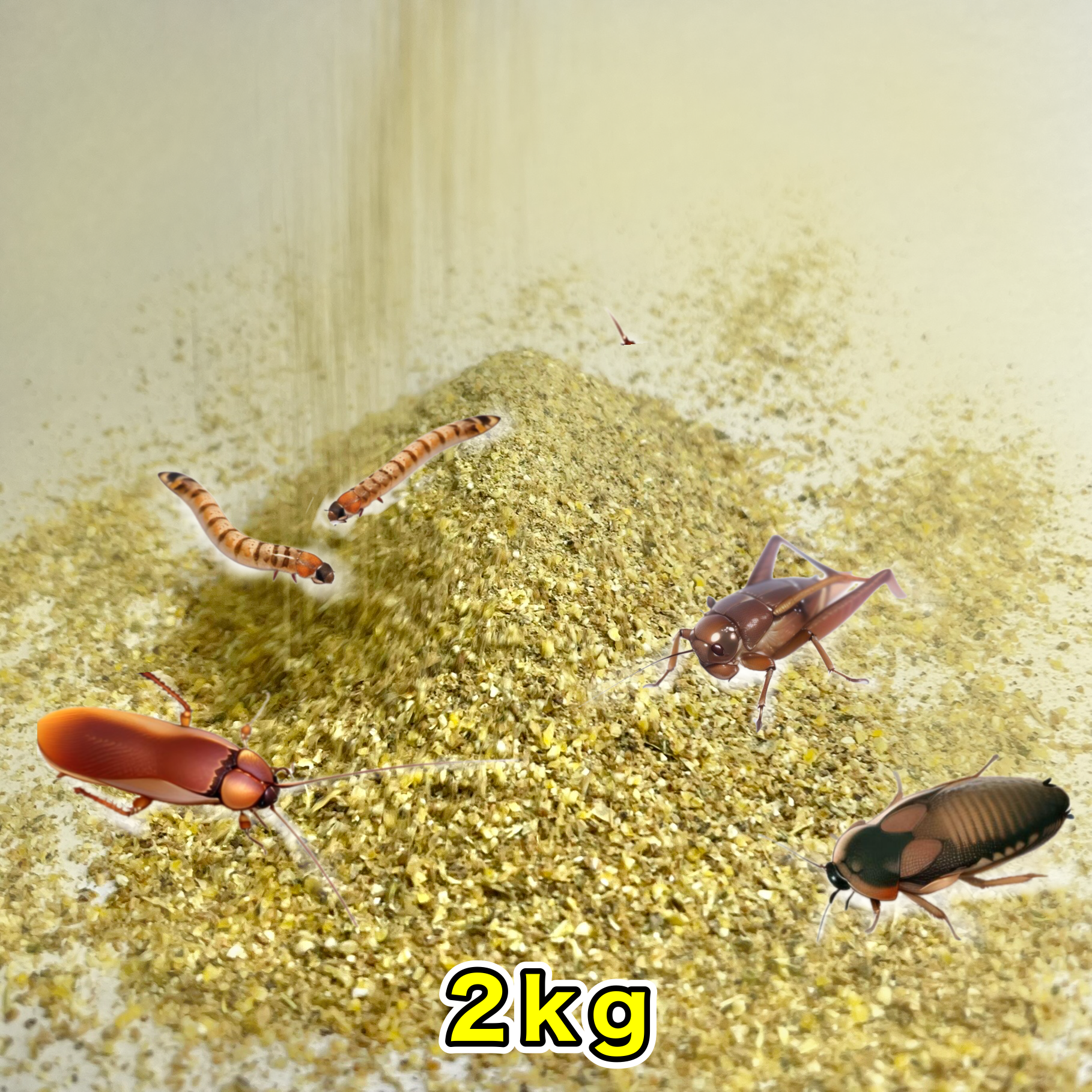 ふりぷりフード】（デュビア／レッドローチ／コオロギ）2㎏ | カフェ