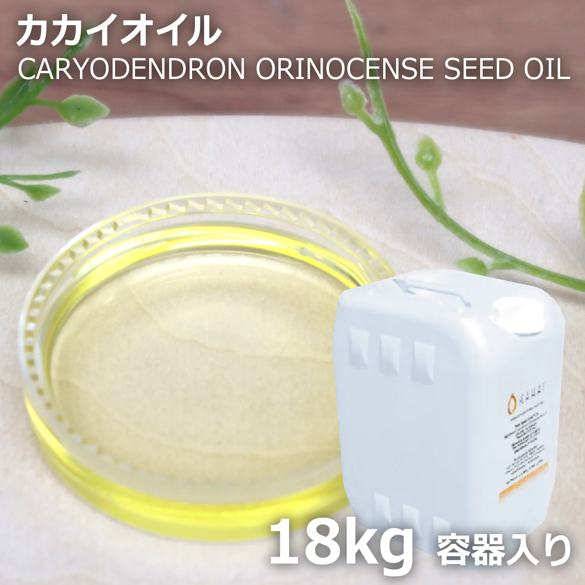 オーガニック カカイオイル 18kg 送料無料 | 化粧品原料 スキンケア