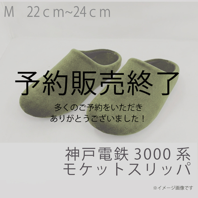 【7月先行予約商品】神戸電鉄3000系 モケットスリッパ RAU-RAU-G HAITETSU