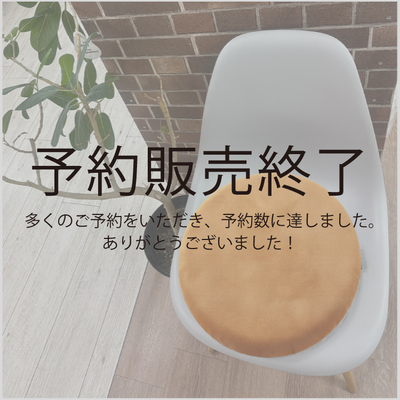 【7月先行予約商品】伊豆急行 モケット・ラウンドクッション RAU-RAU-G HAITETSU