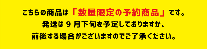 予約商品の説明こちらの商品は数量限定の予約商品です。9月発送予定です