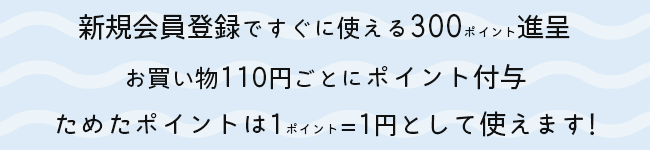 ポイント