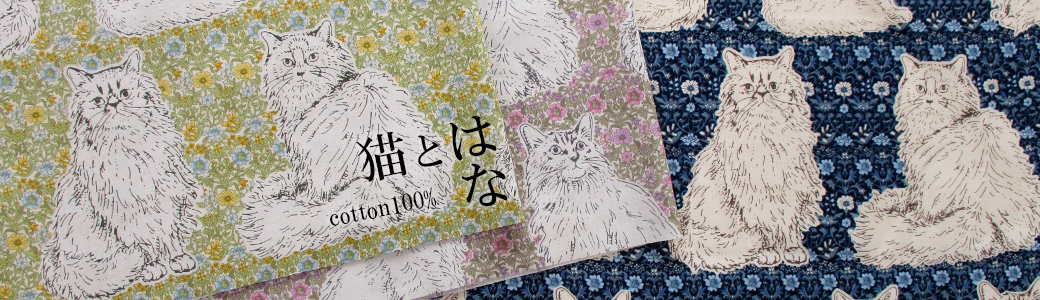 スケア猫とはな