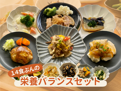 栄養バランスセット（14食分）