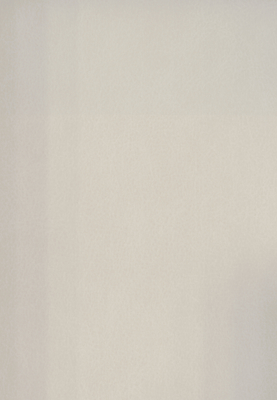 WS-906E　レザー柄