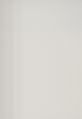 WS-503E-S　単色（フラット塗装調）