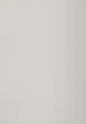 WS-4007E-5　単色（梨地マット調）