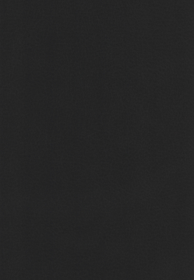 WS-909E　レザー柄