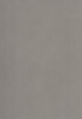 WS-913E　レザー柄