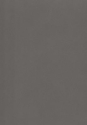 WS-908E　レザー柄