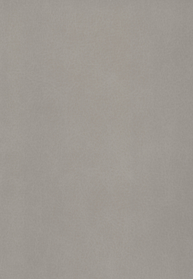 WS-907E　レザー柄