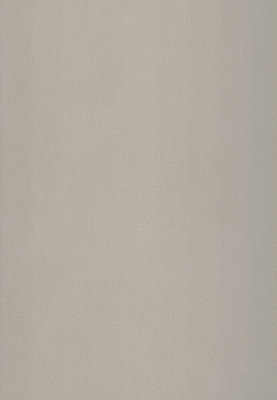 WS-910E　レザー柄