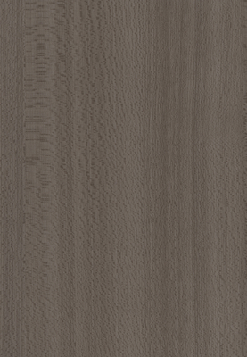 WS-5181E　エルム柄