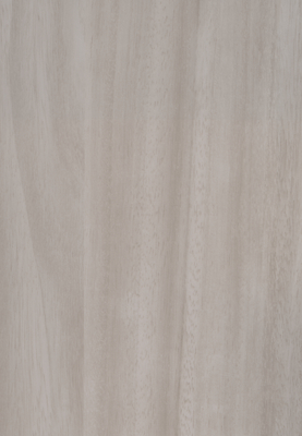 WS-5221E　アカシア柄