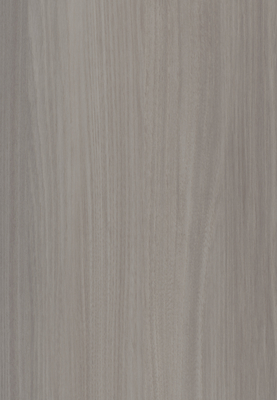 WS-5210E　エルム柄