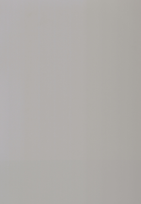 WS-6015E　単色（梨地マット調）