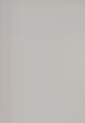 WS-6014E　単色（梨地マット調）